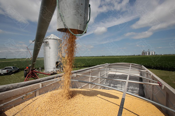 5月USDA供需报告利空 豆粕的牛市是否结束？