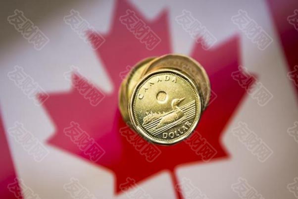 加拿大元硬币d.jpg