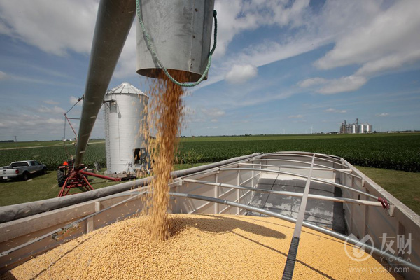 降低大豆进口依赖 豆粕减量替代与大豆扩种增产同步进行|行业动态