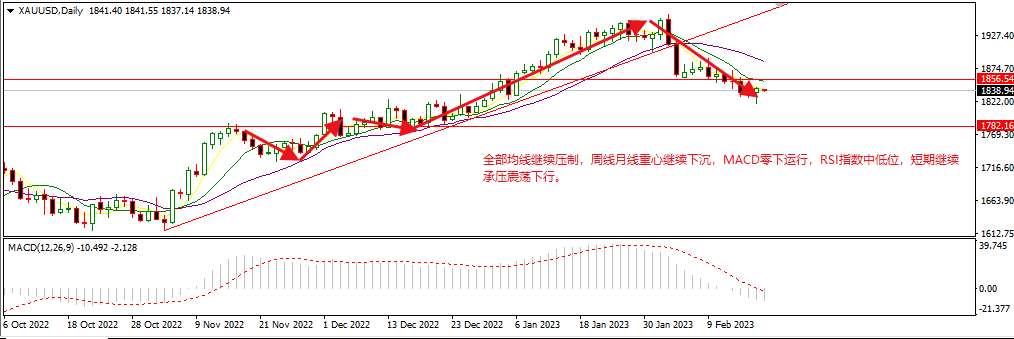 黄金(5).png