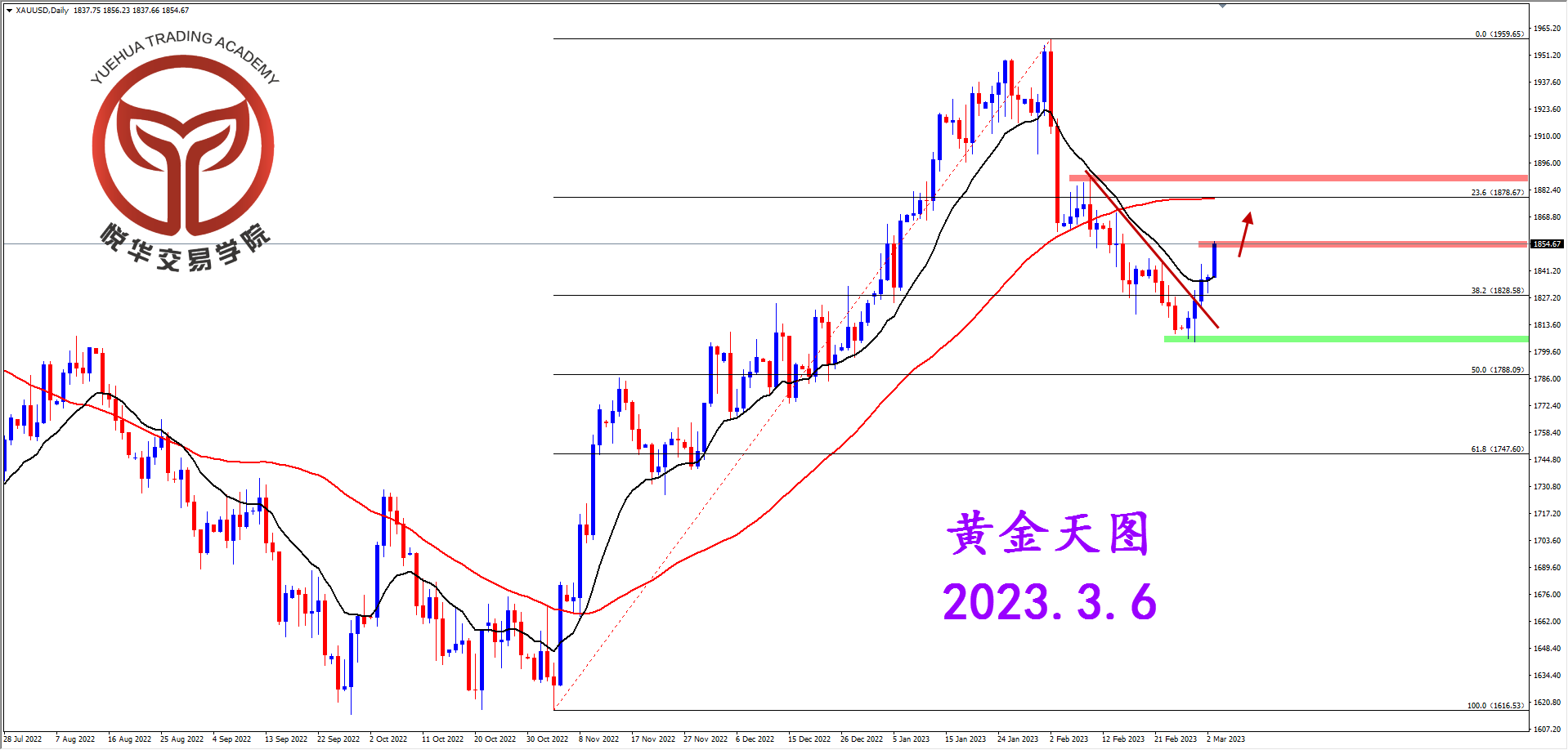 2023-3-6 星期一 6-34-11黄金天图.png