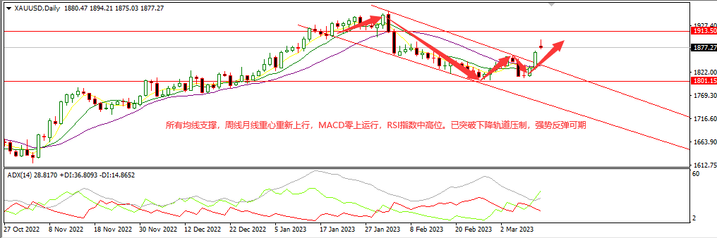 黄金(1).png