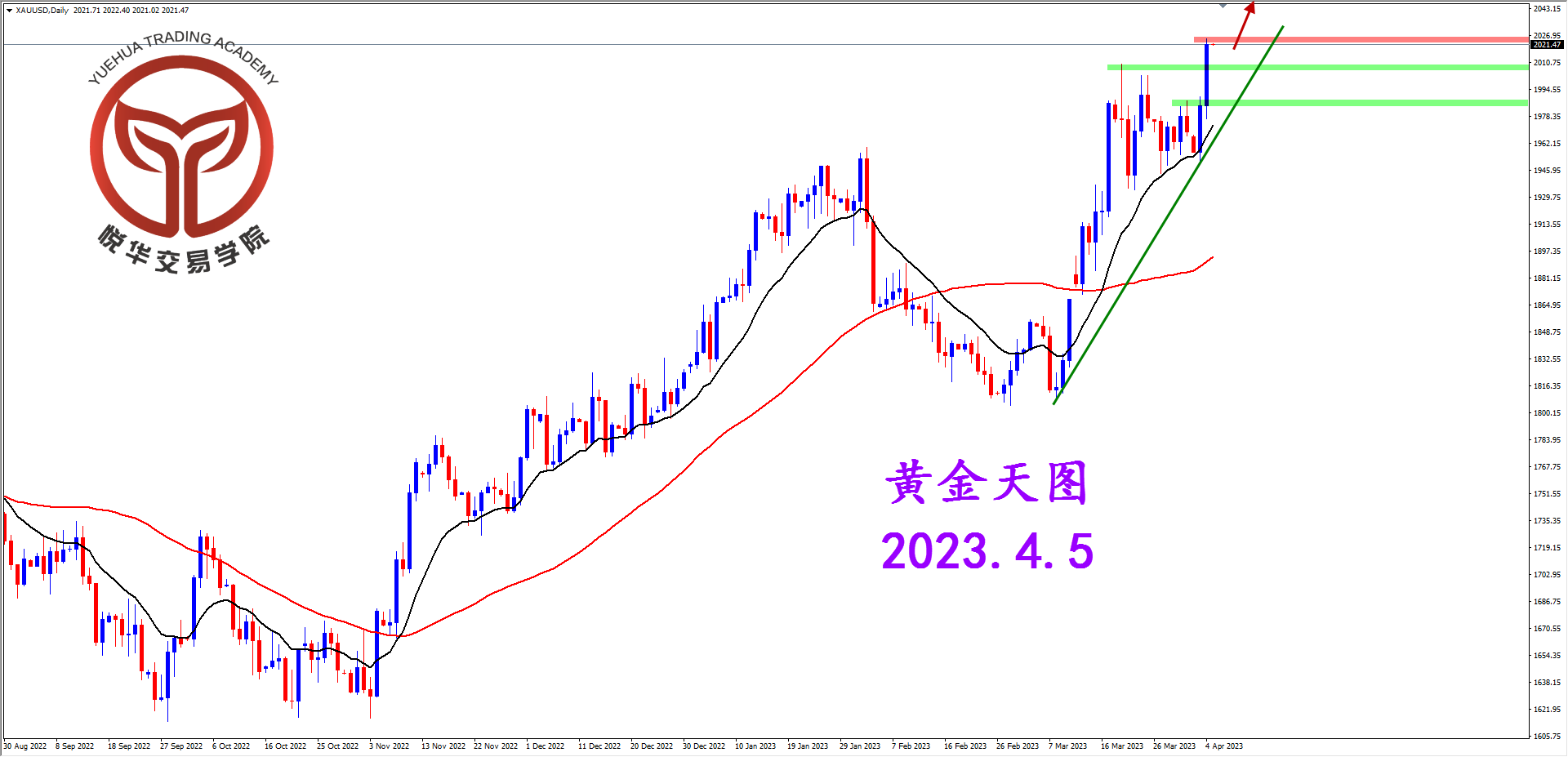 2023-4-5 星期三 8-15-32黄金天图.png