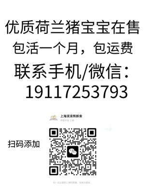 1725745403509149.jpg 99.jpg