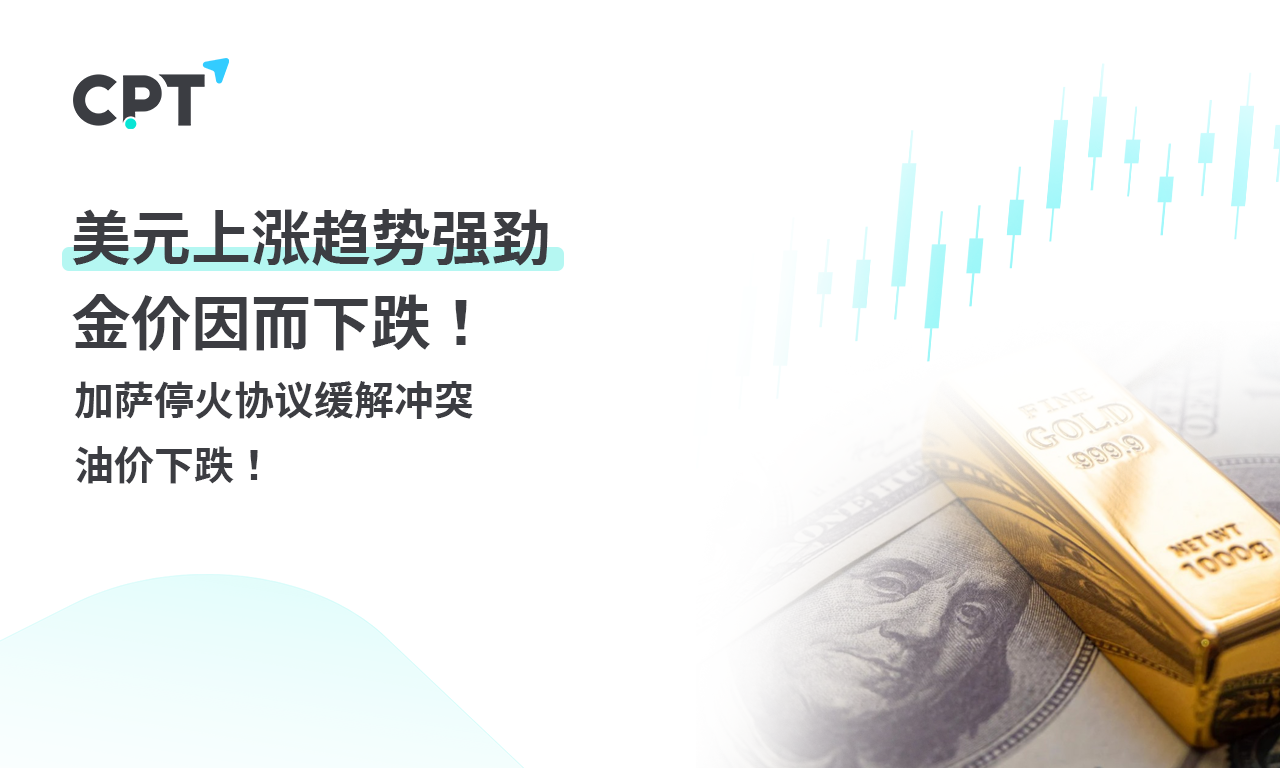 1737341902489906.png 0120橫幅2_0.png