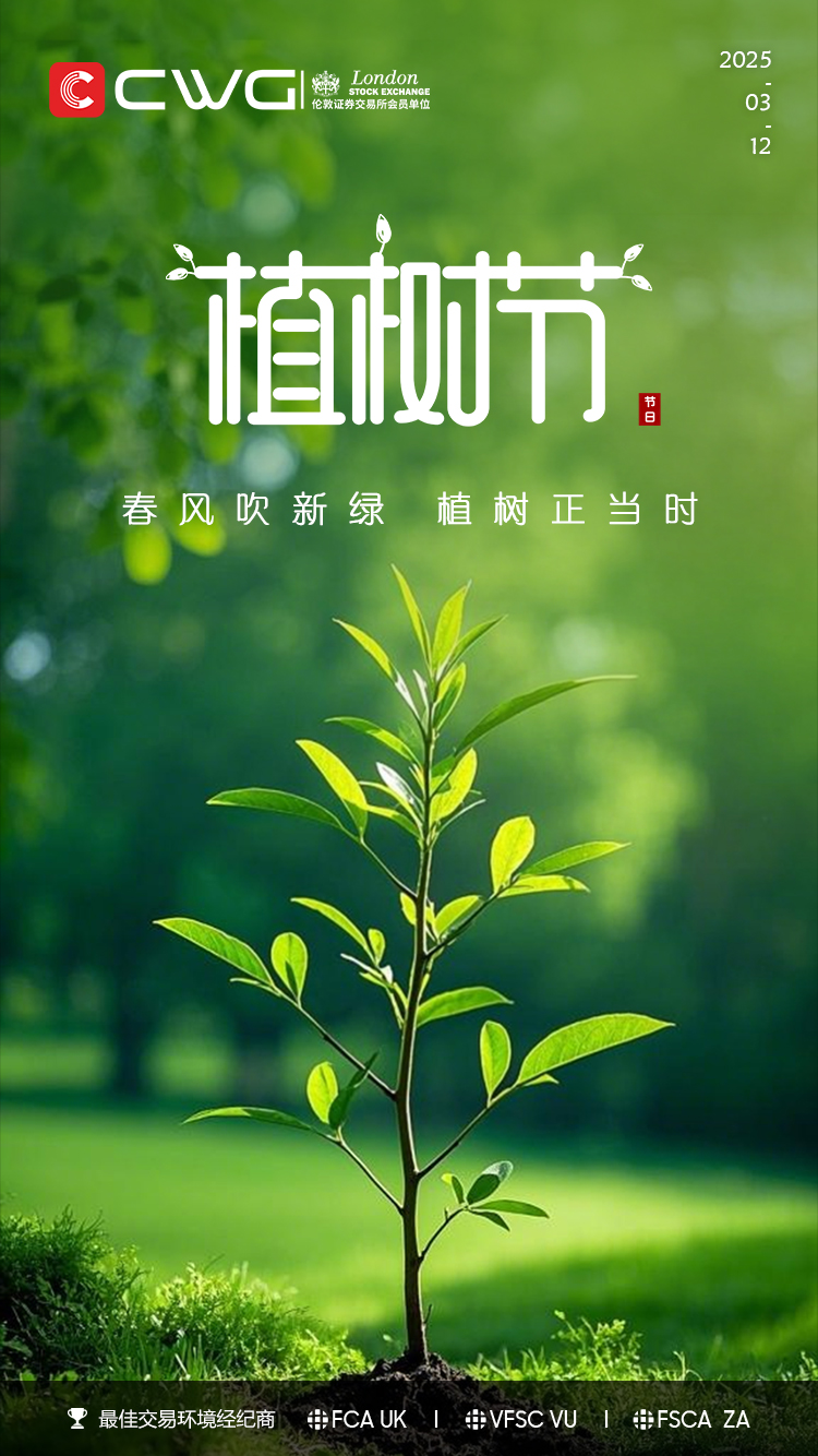 植树11.jpg